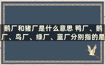 鹅厂和猪厂是什么意思 鸭厂、鹅厂、鸟厂、绿厂、蓝厂分别指的是那几个互联网公司